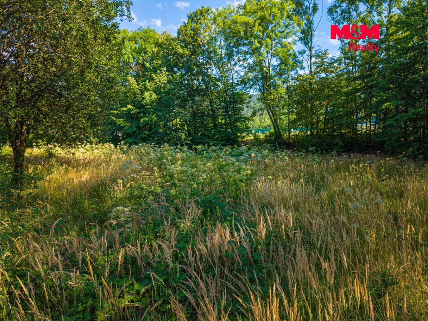 DJI_0584.jpg