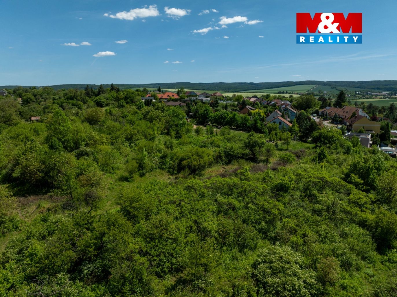 DJI_0010.jpg