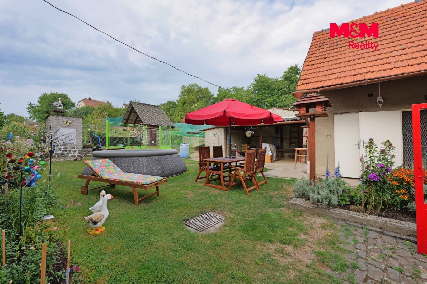 P1238728.jpeg