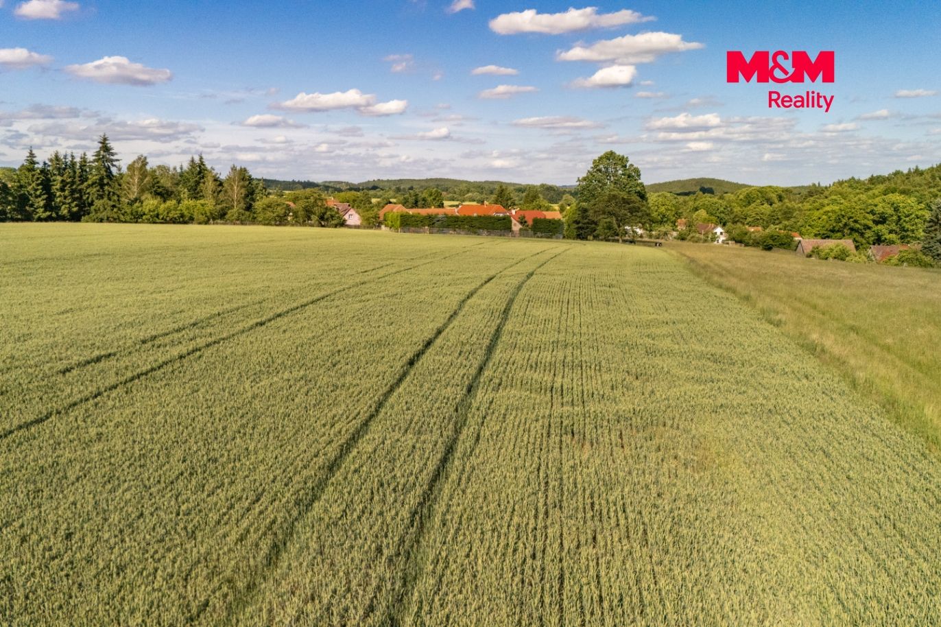 DJI_20260615174543_0025_D.jpg