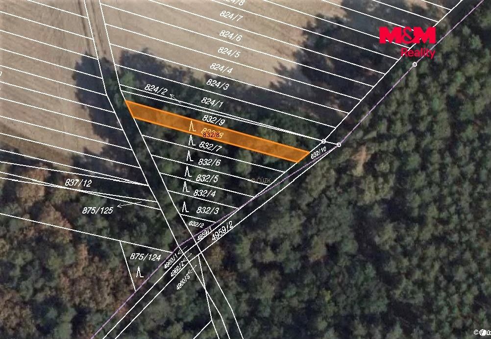 mapka