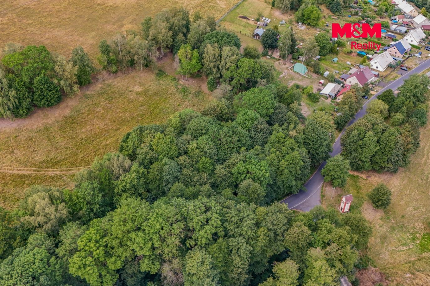 DJI_20260806113054_0127_D.jpg