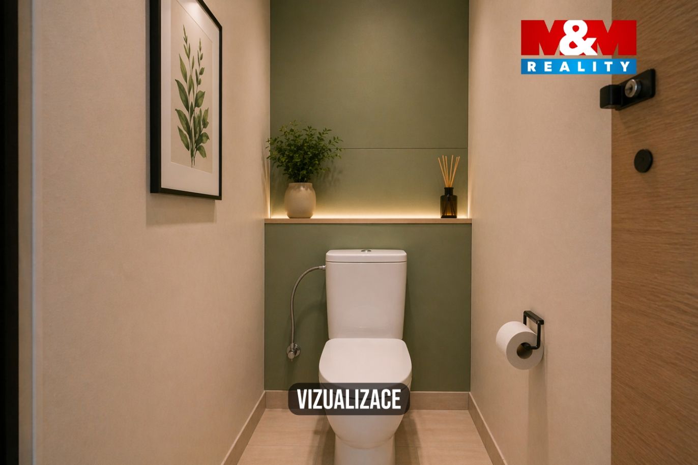 Vizualizace