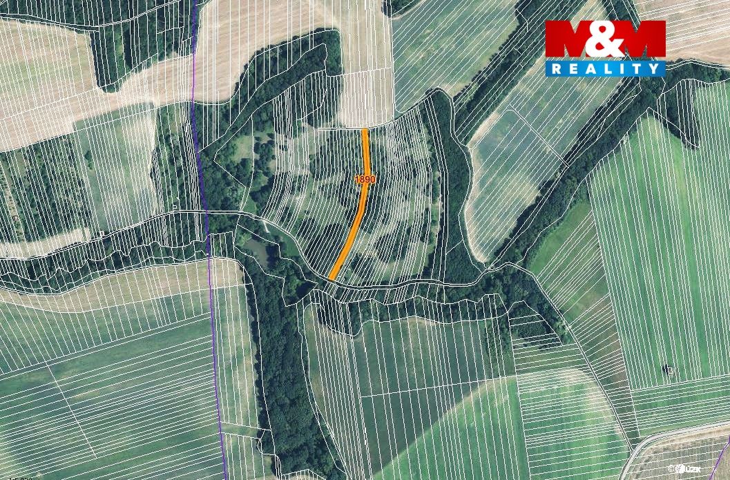 mapka