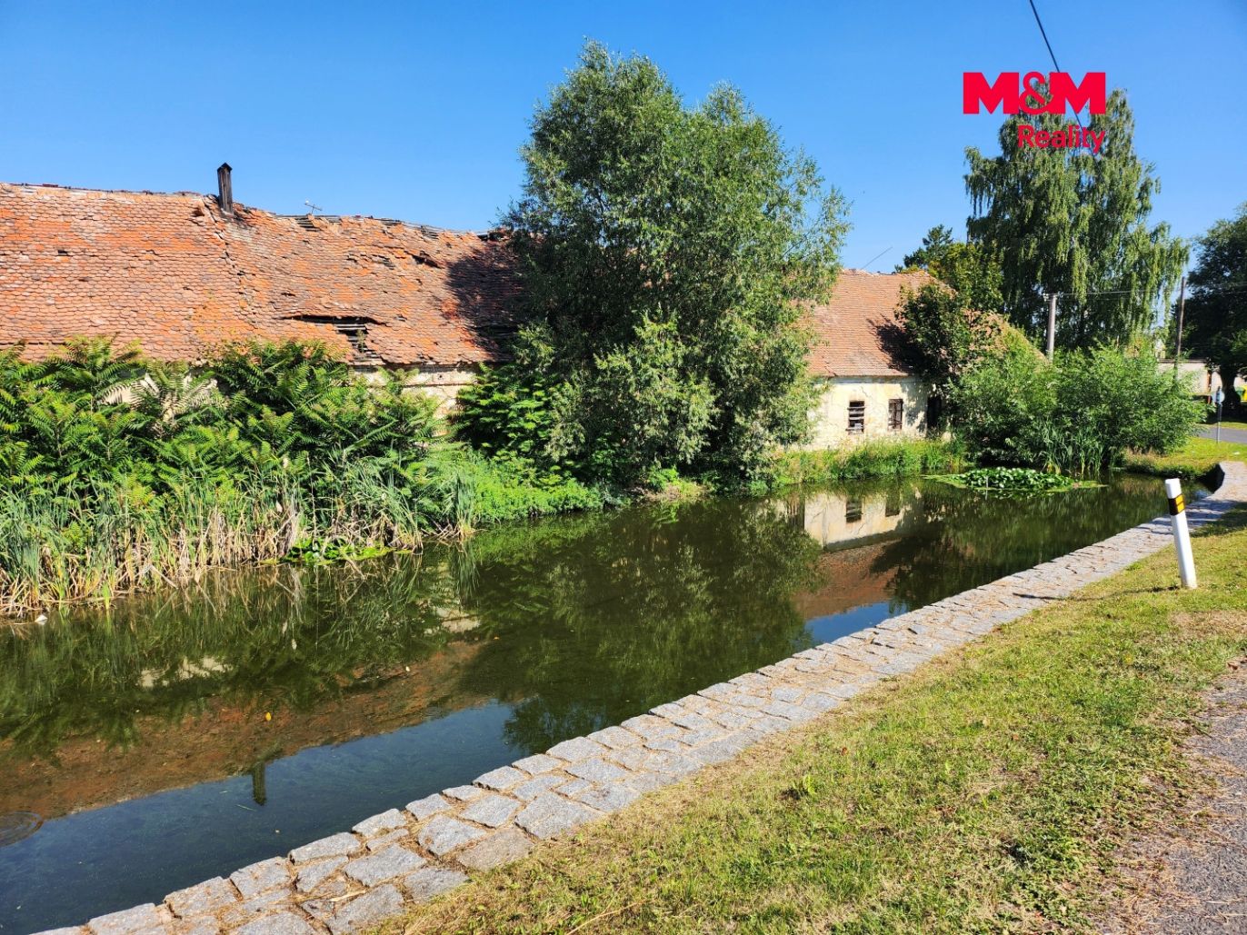 rybník 