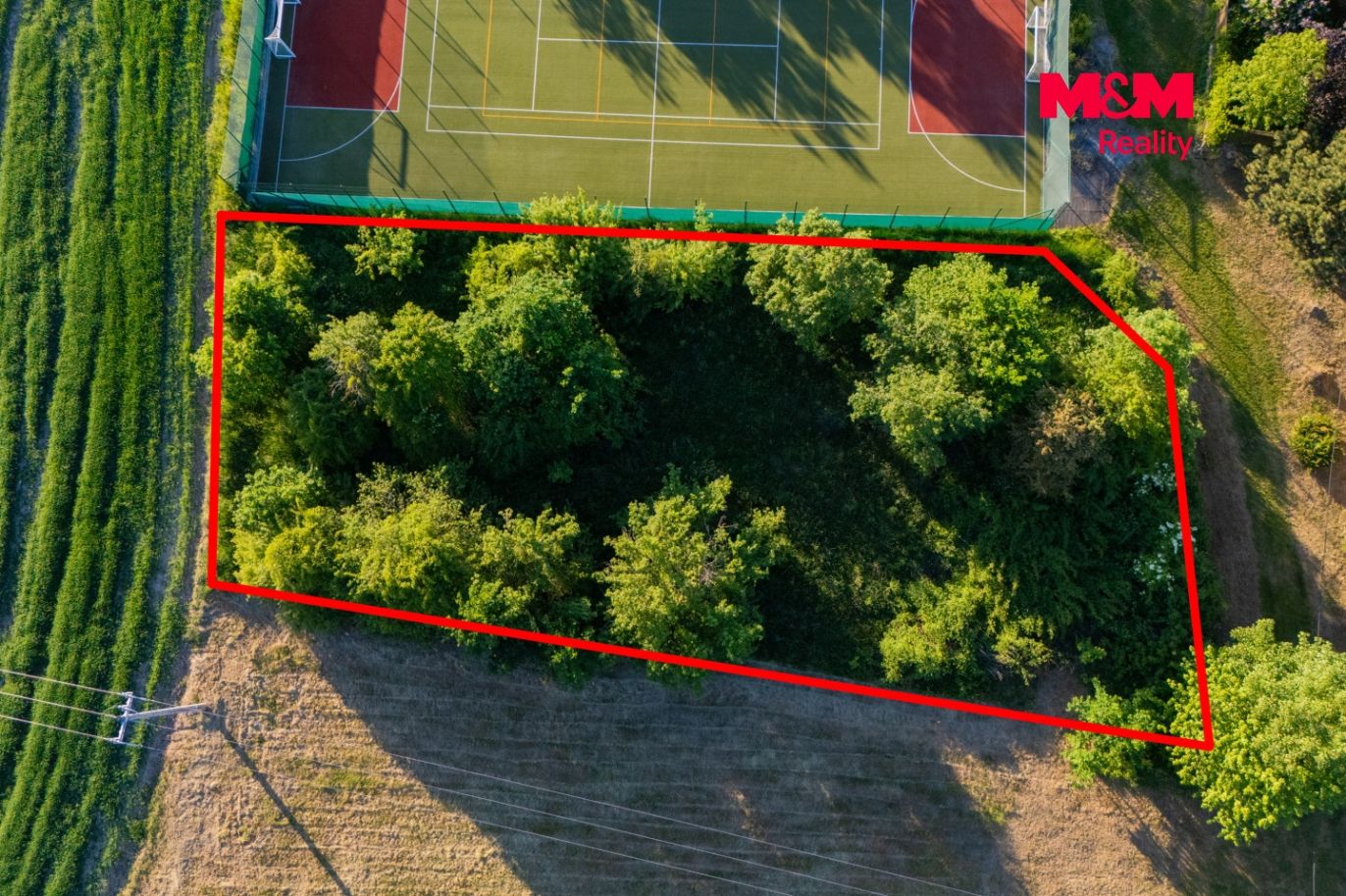 DJI_20250819171748_0515_D.jpg