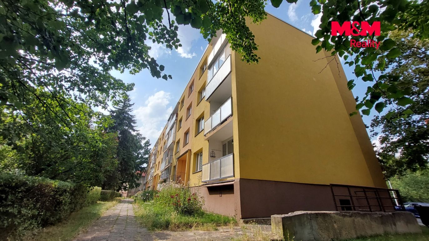 Dům