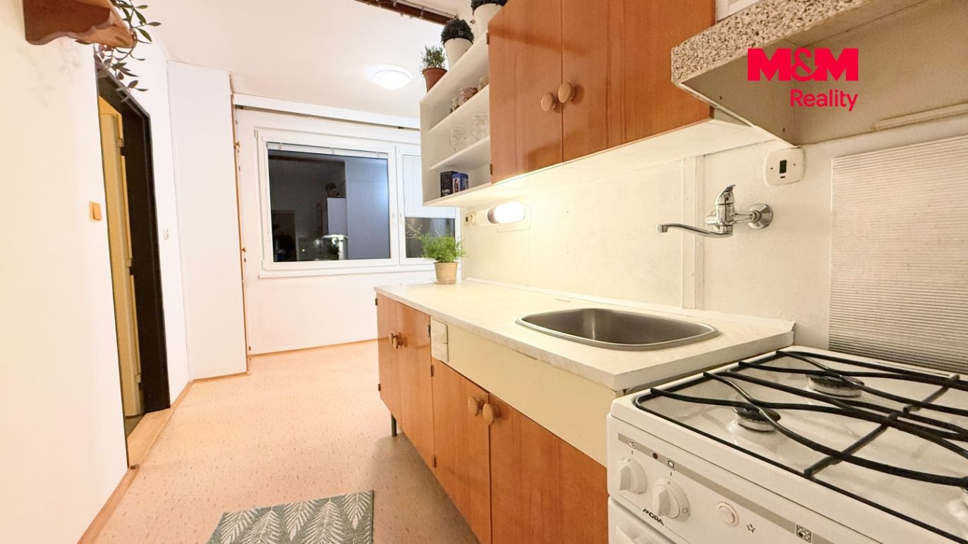 IMG_0981.jpeg