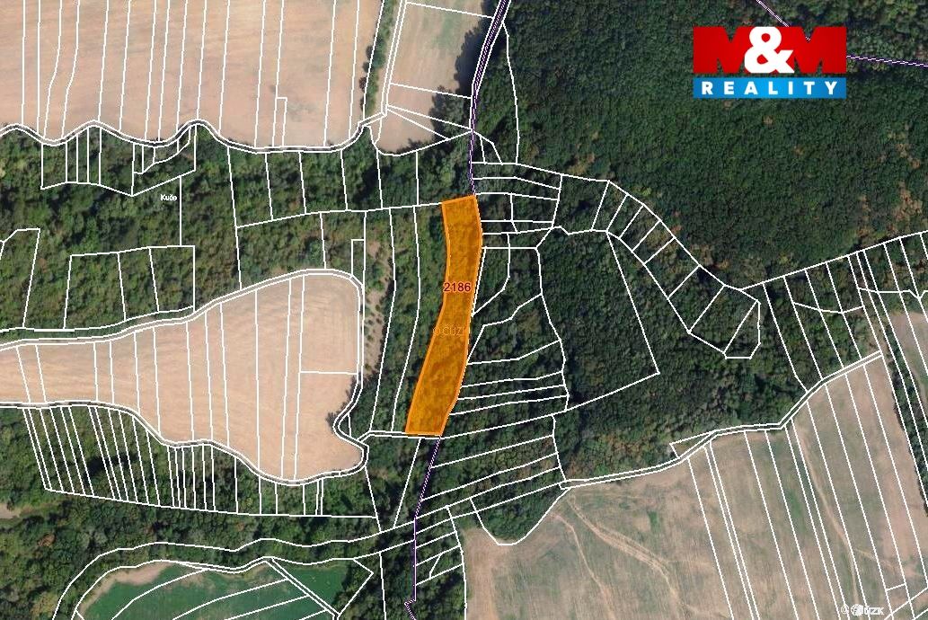 mapka