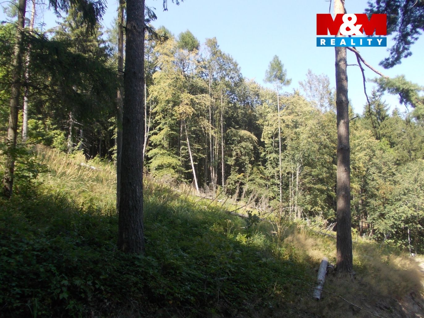 DSCN8943.jpg