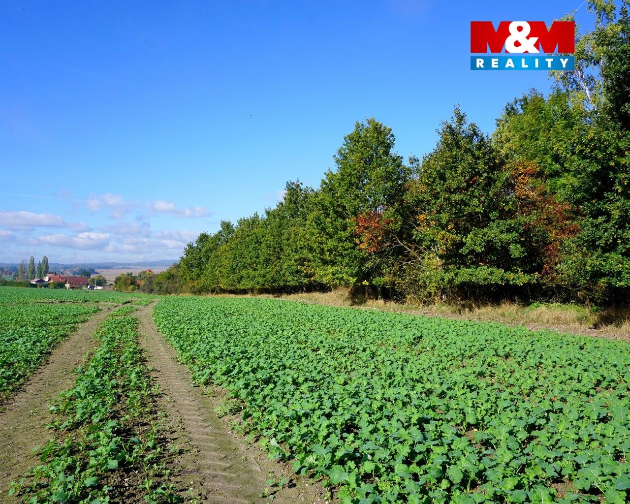 Image00006.jpg