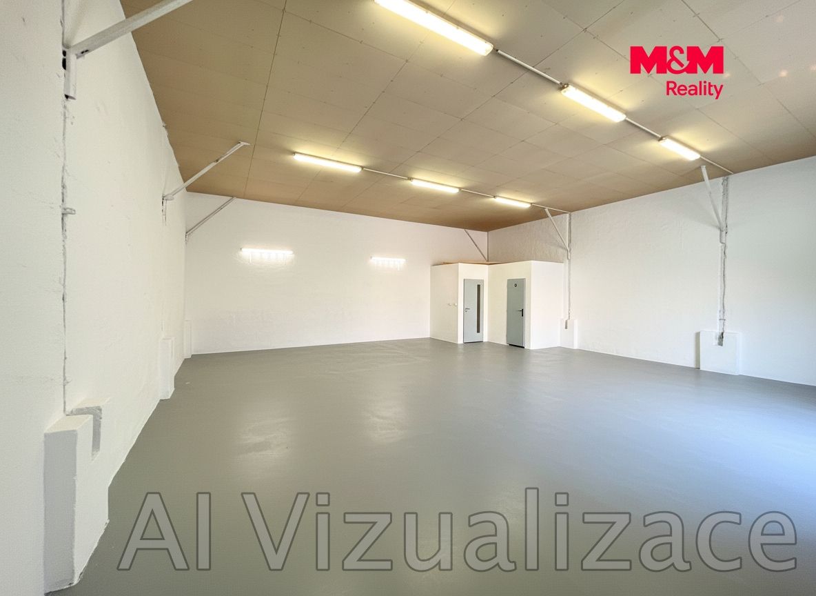 Hala AI Vizualizace