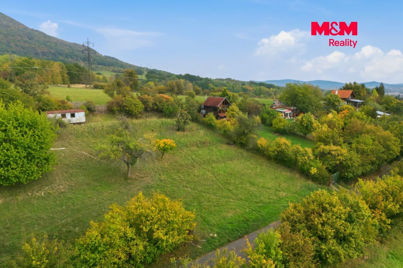 Realitni╠ü fotografie - Z╠îitenice - Frantis╠îek Hora╠ük - 23.jpg