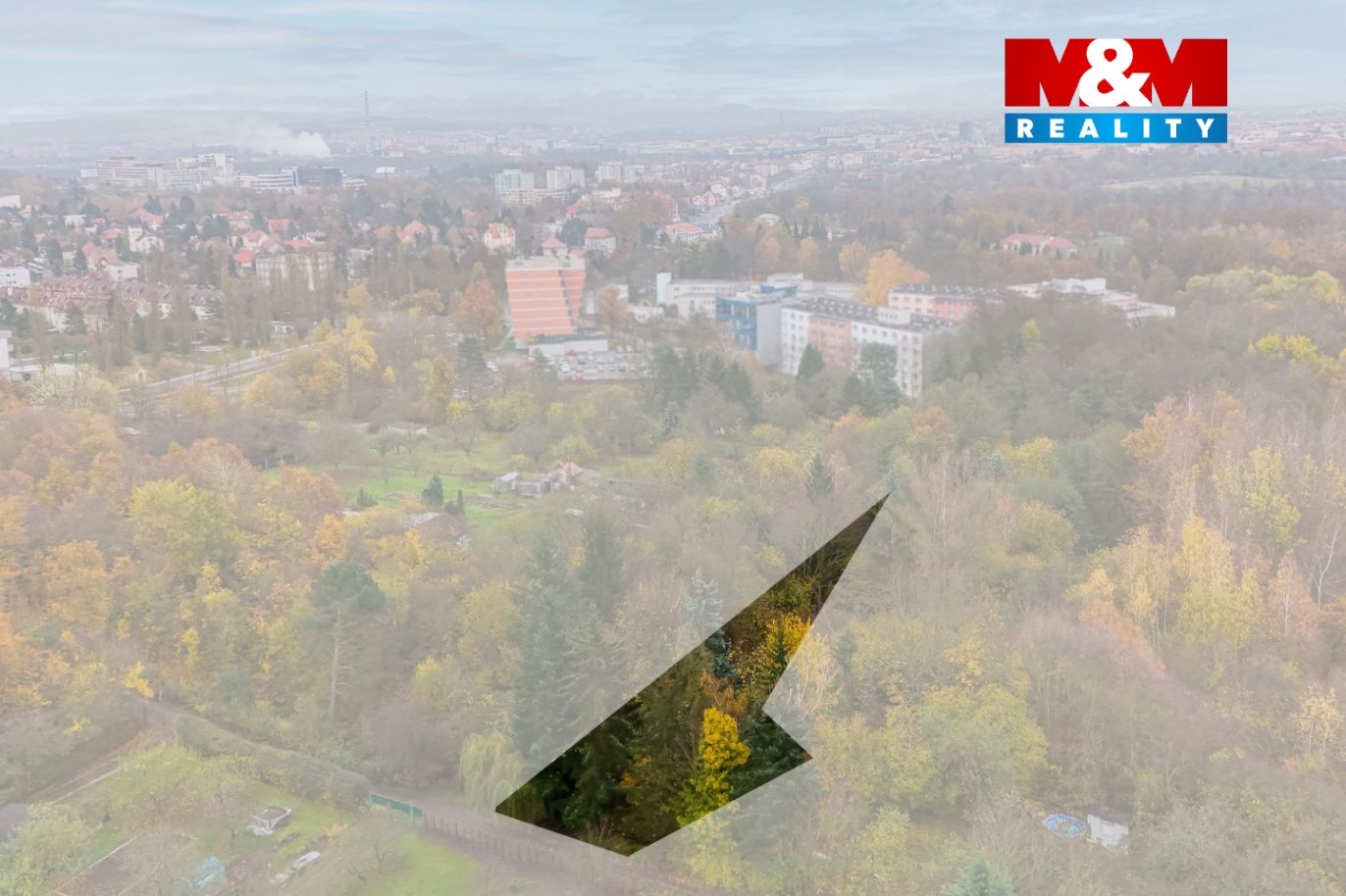 DJI_20241114094904_0865_D kopie.jpg