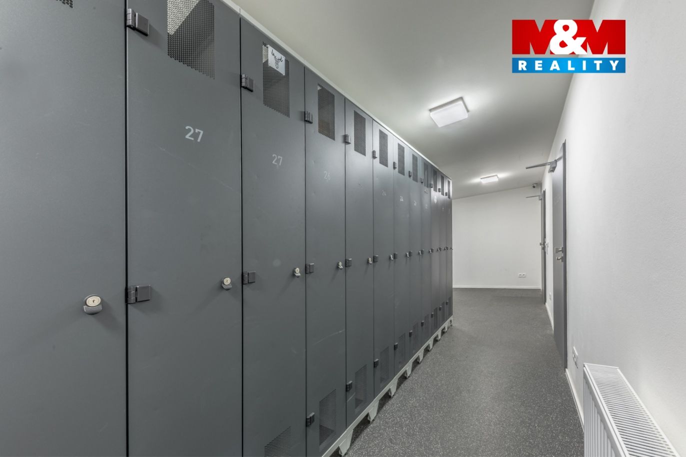 lyžána-úložné boxy
