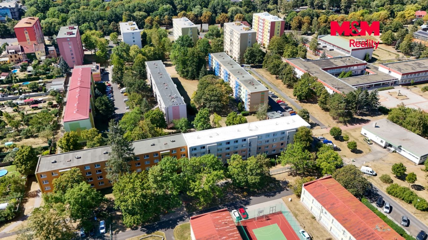 Dům