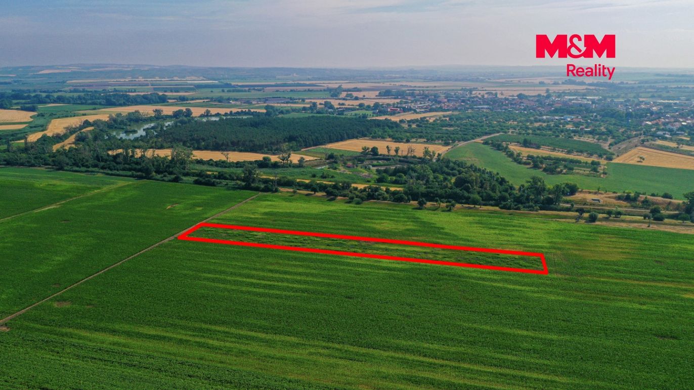 DJI_0878 kopie.jpg