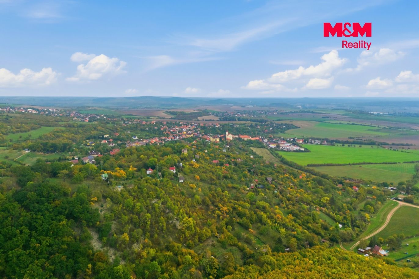 Realitni╠ü fotografie - Z╠îitenice - Frantis╠îek Hora╠ük - 21.jpg