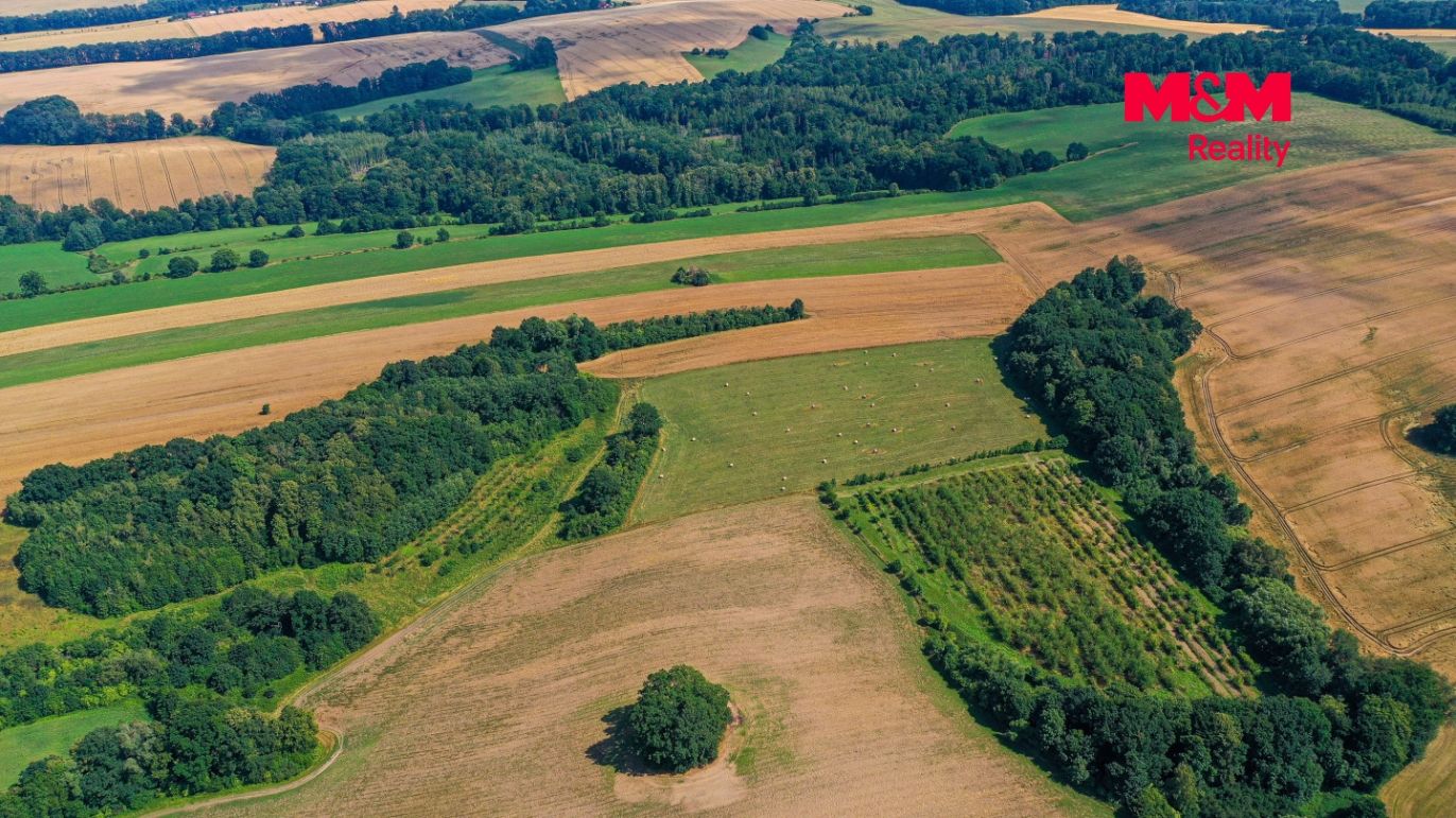 DJI_0861.jpg