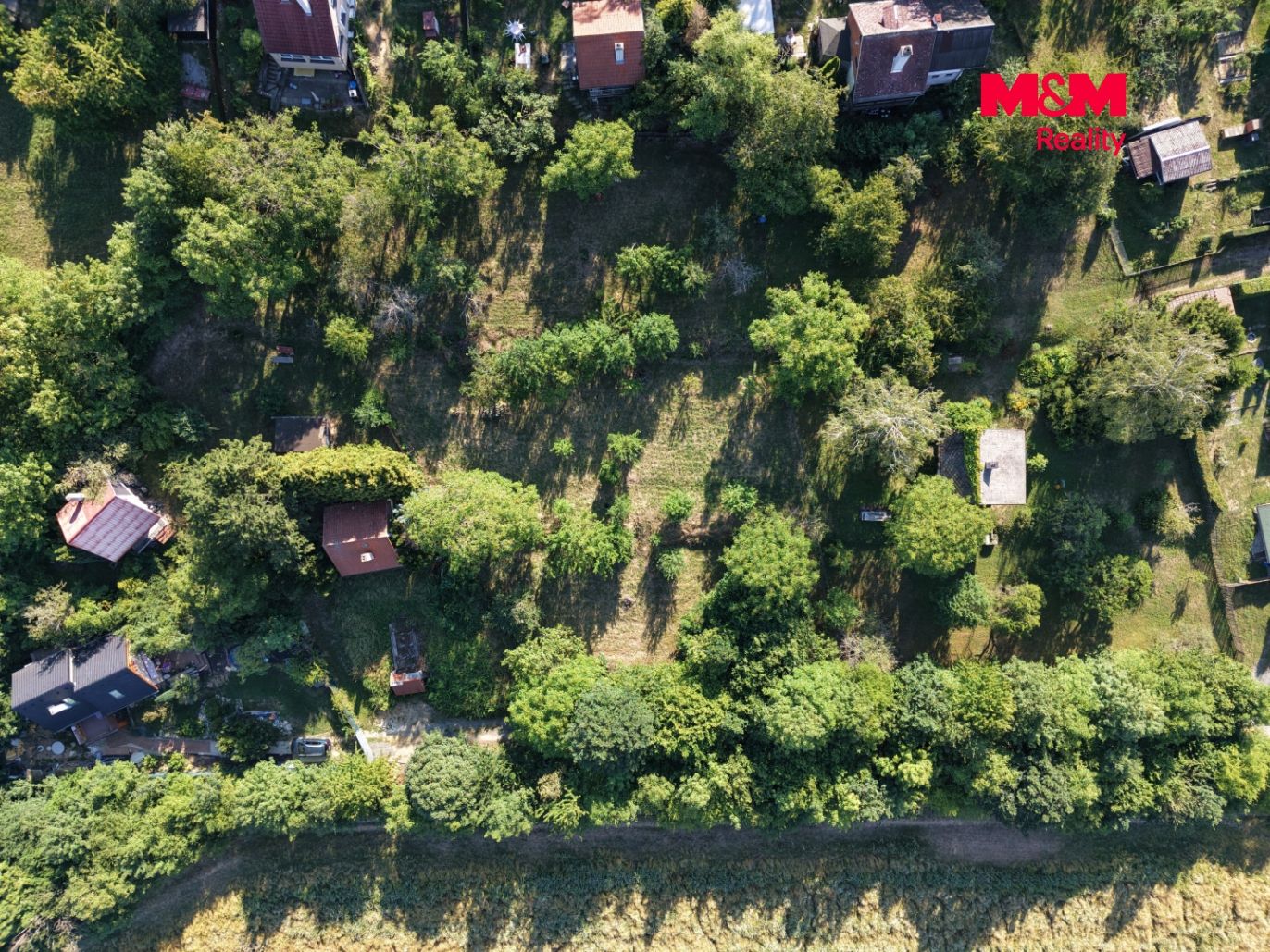 dji_fly_20260730_090410_0002_1785505714034_photo.jpg