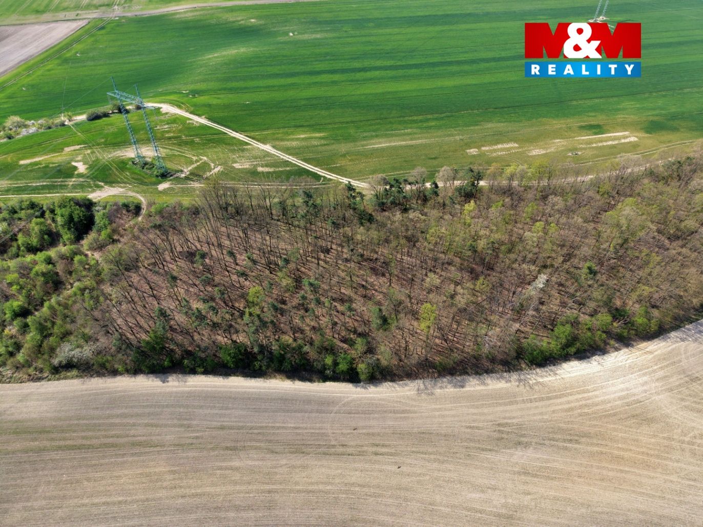 DJI_20260417113405_0025_D.jpg