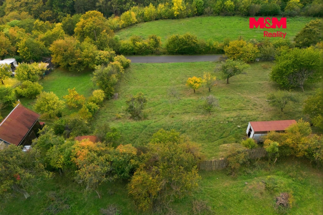 Realitni╠ü fotografie - Z╠îitenice - Frantis╠îek Hora╠ük - 14.jpg