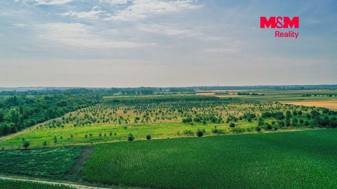 DJI_0892.jpg