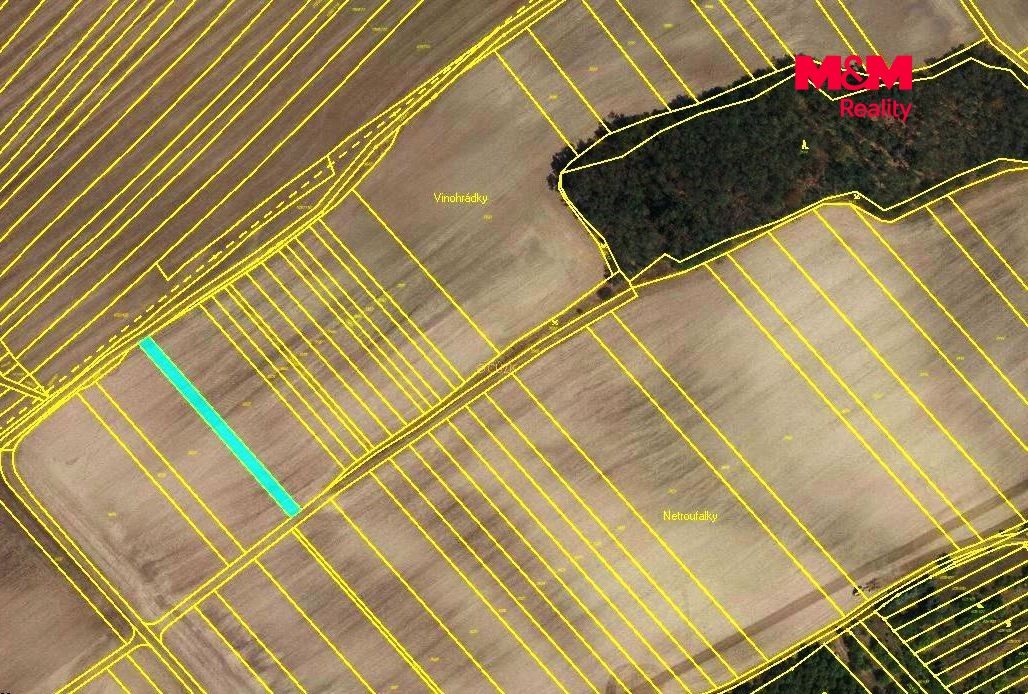 mapka