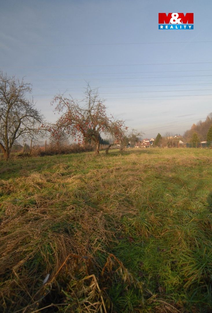 11N_6244.jpg