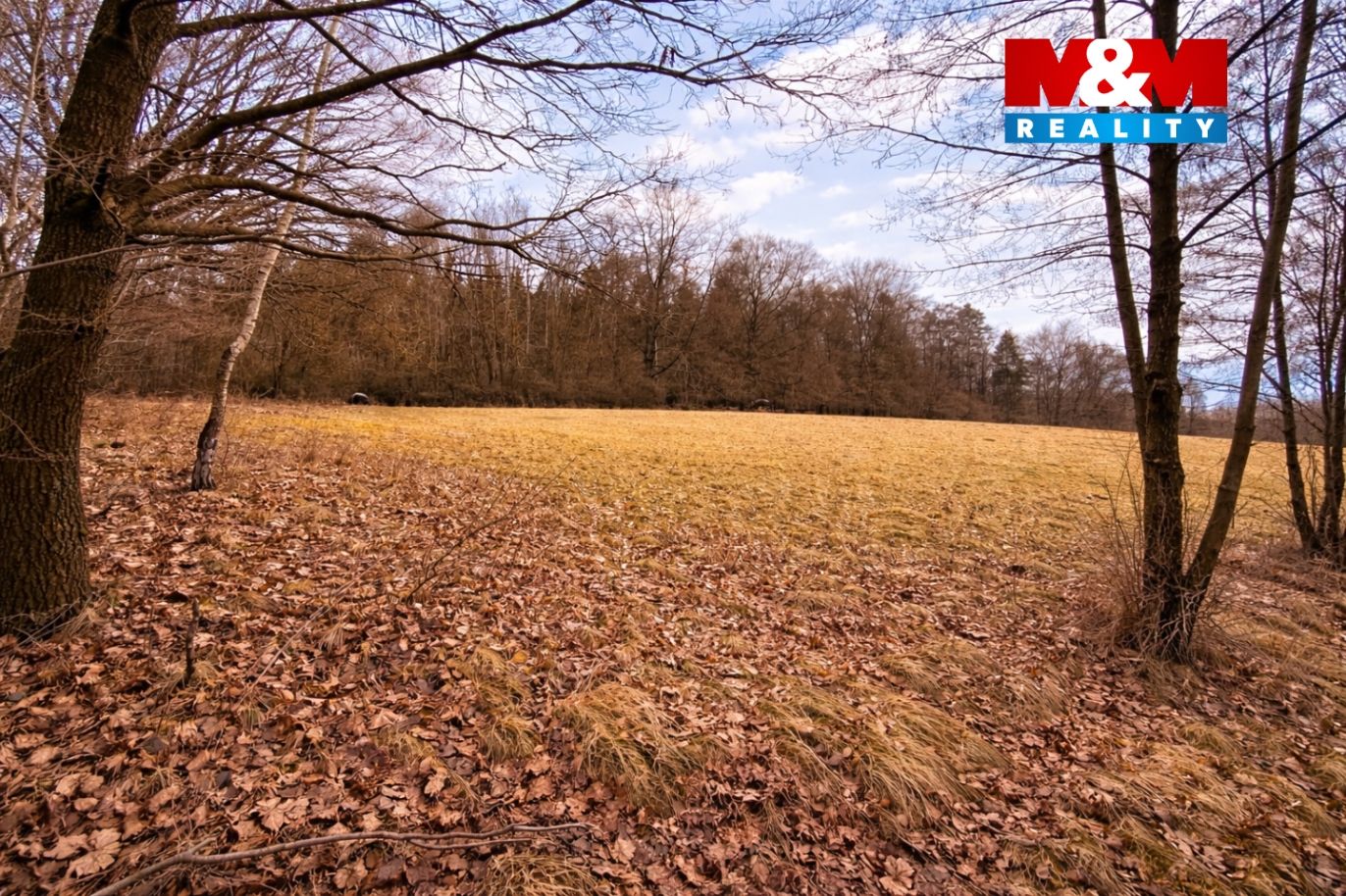 image_1DDB114B-AFAE-4242-B708-C58F593591ED_1771093203.png
