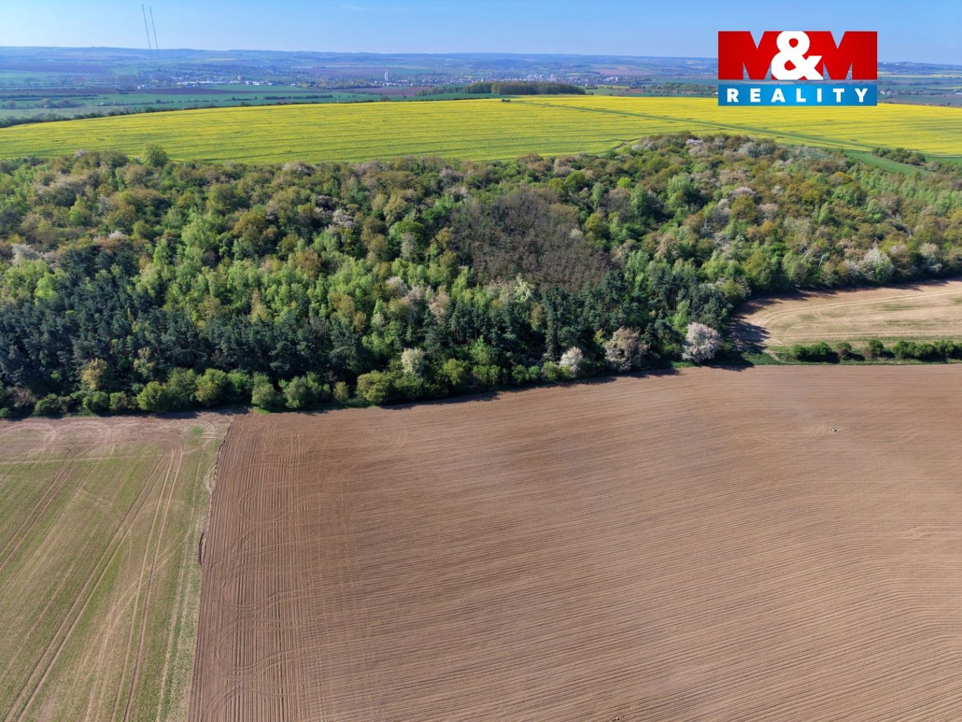 DJI_20260424095726_0015_D.jpg