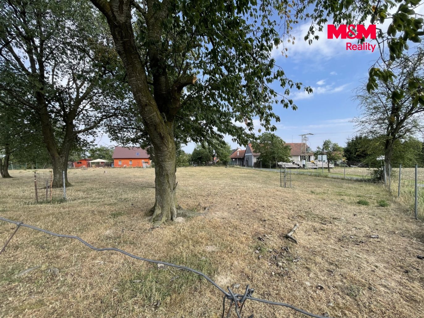 IMG_5534.jpeg