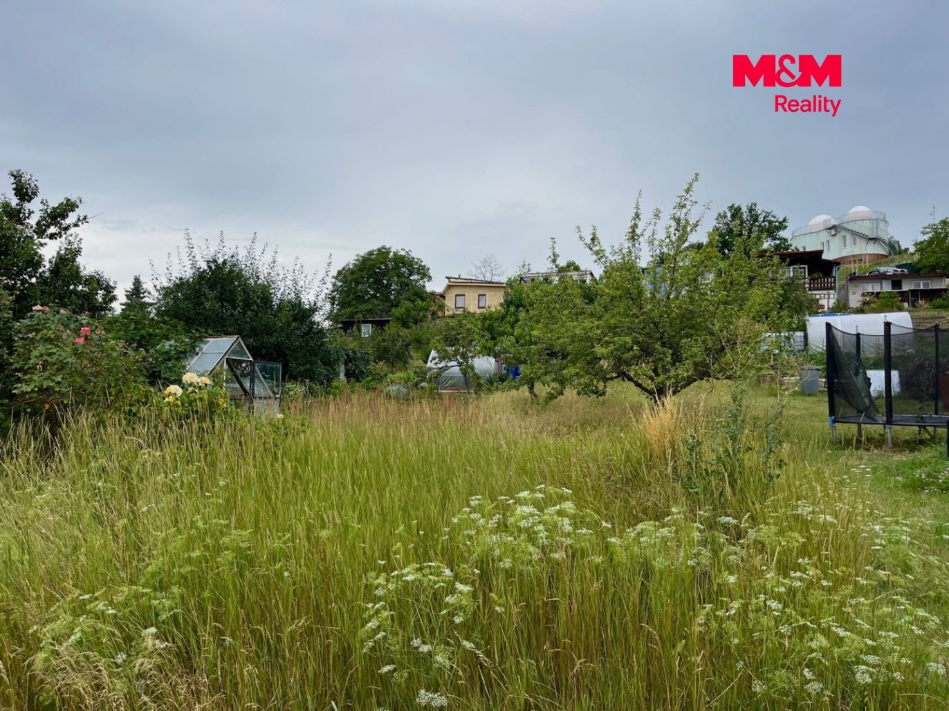 image_DDB8F74D-BC29-426A-80EF-A0799B0846E0_1784380280.jpeg