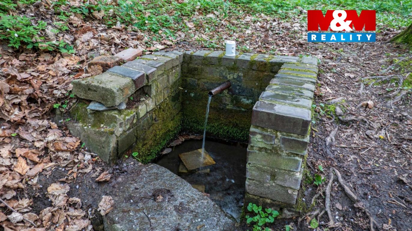 Studánkaa - k.jpg