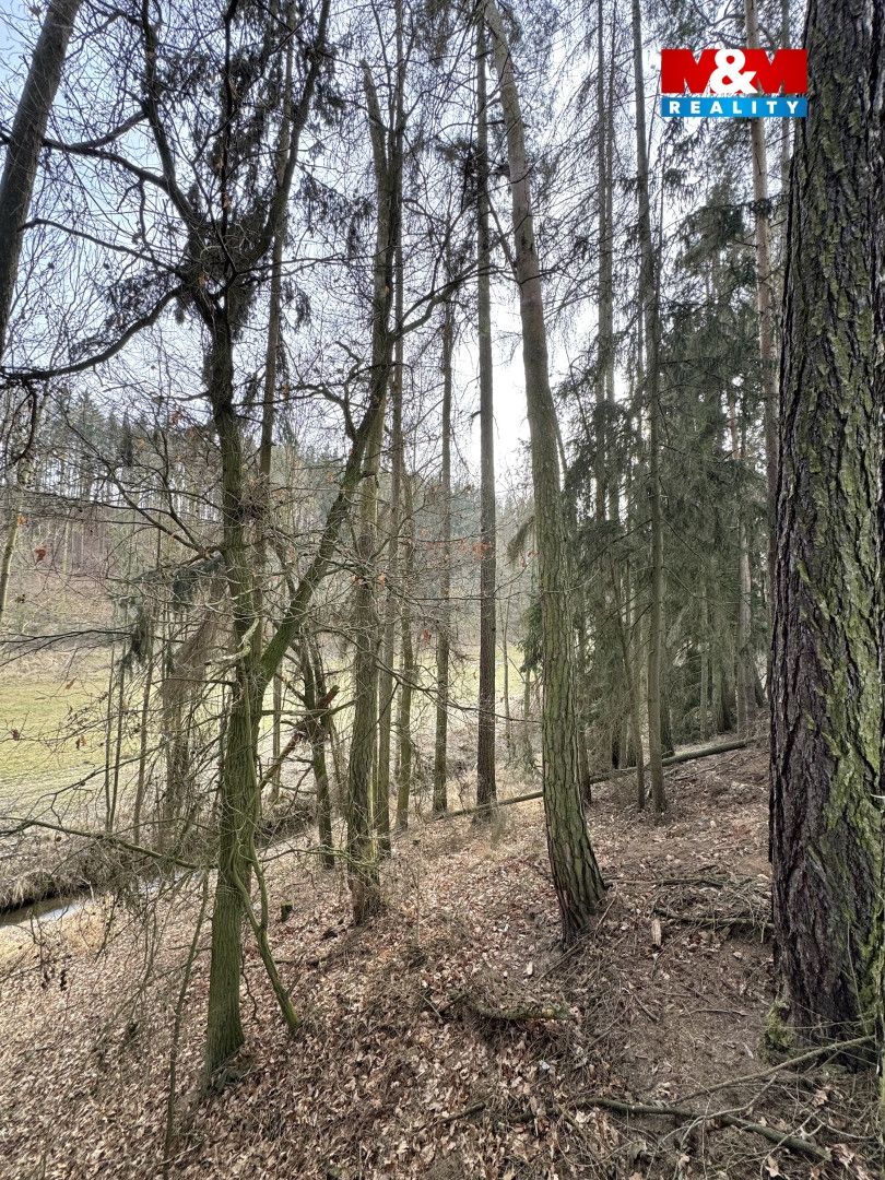 Prodej chalupy, 70 m², Trhový Štěpánov, obec Dálkovice
