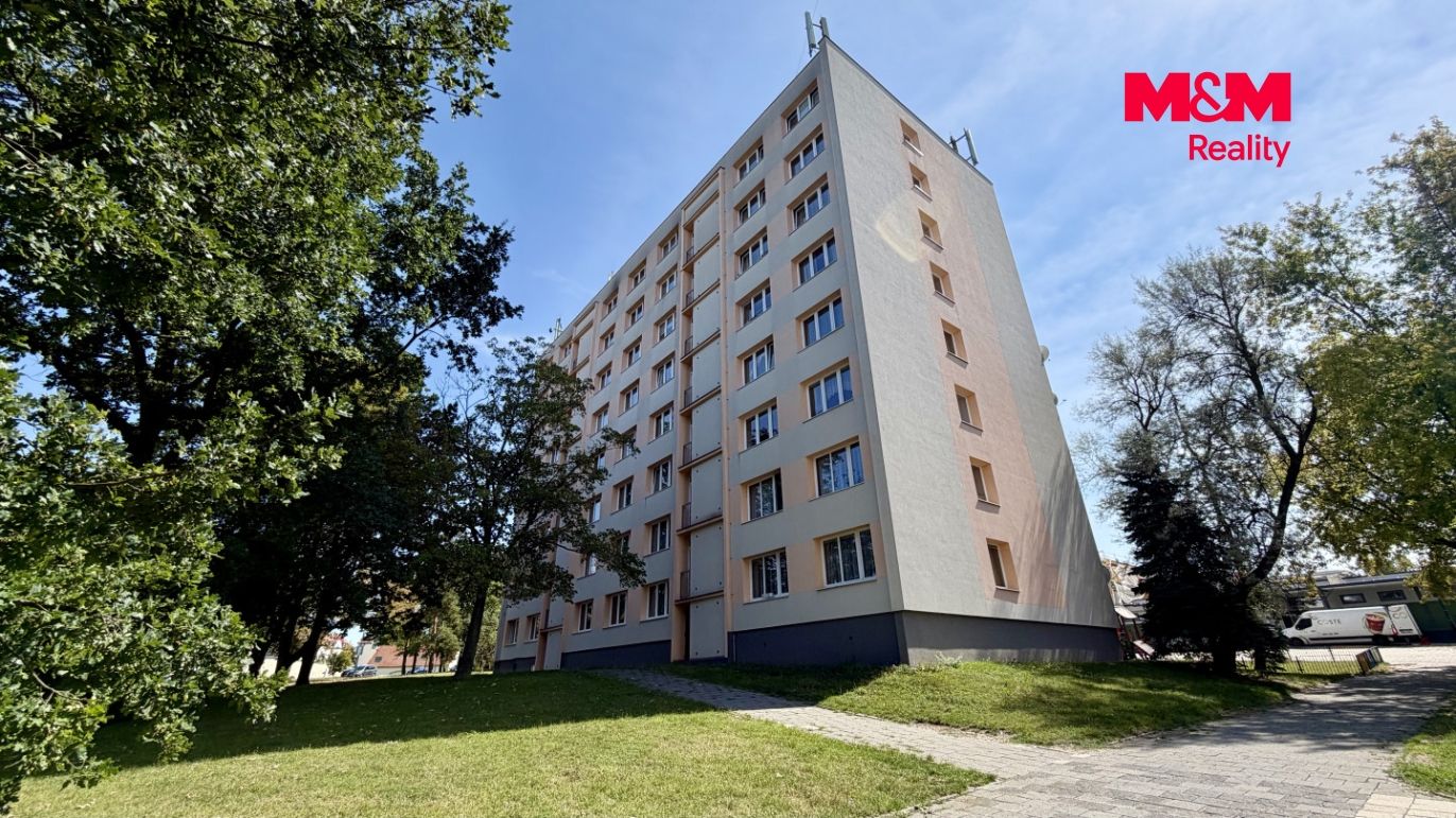 pohled na dům