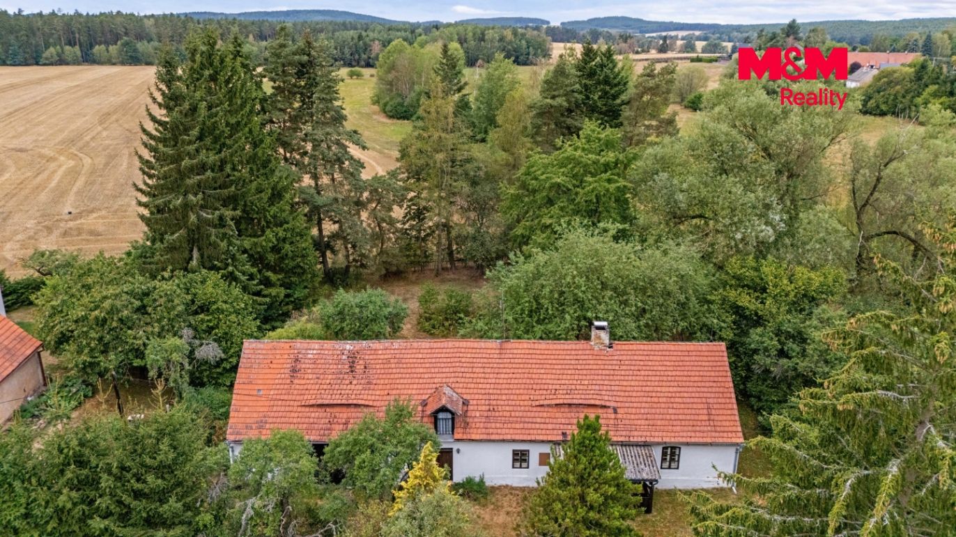 DJI_20260818130420_0187_D.jpg