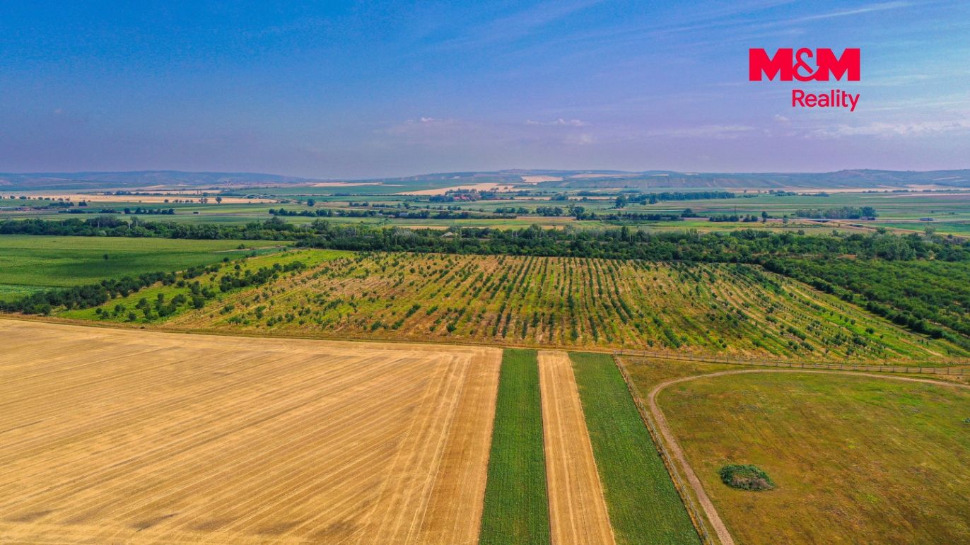 DJI_0902.jpg