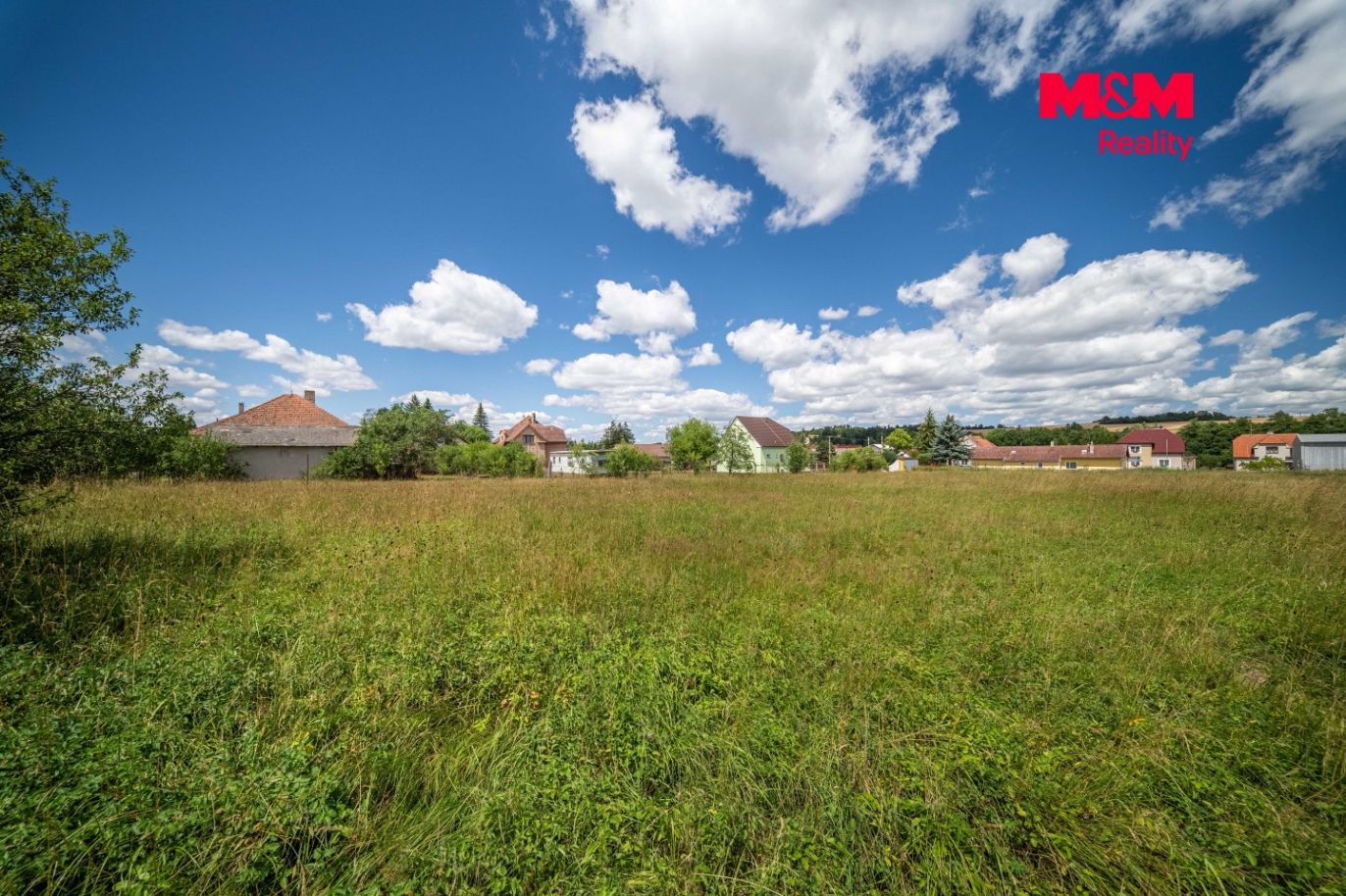 a15.jpg