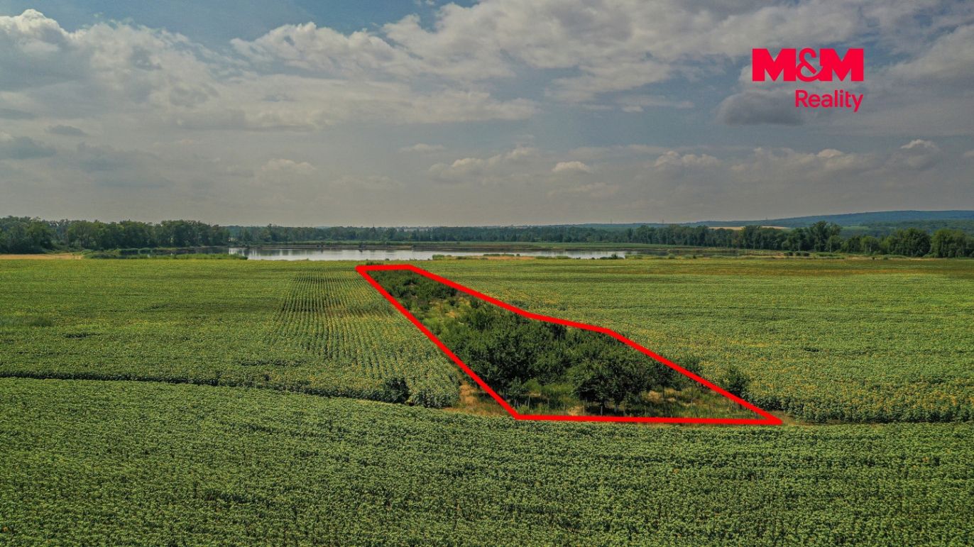 DJI_0936 kopie.jpg