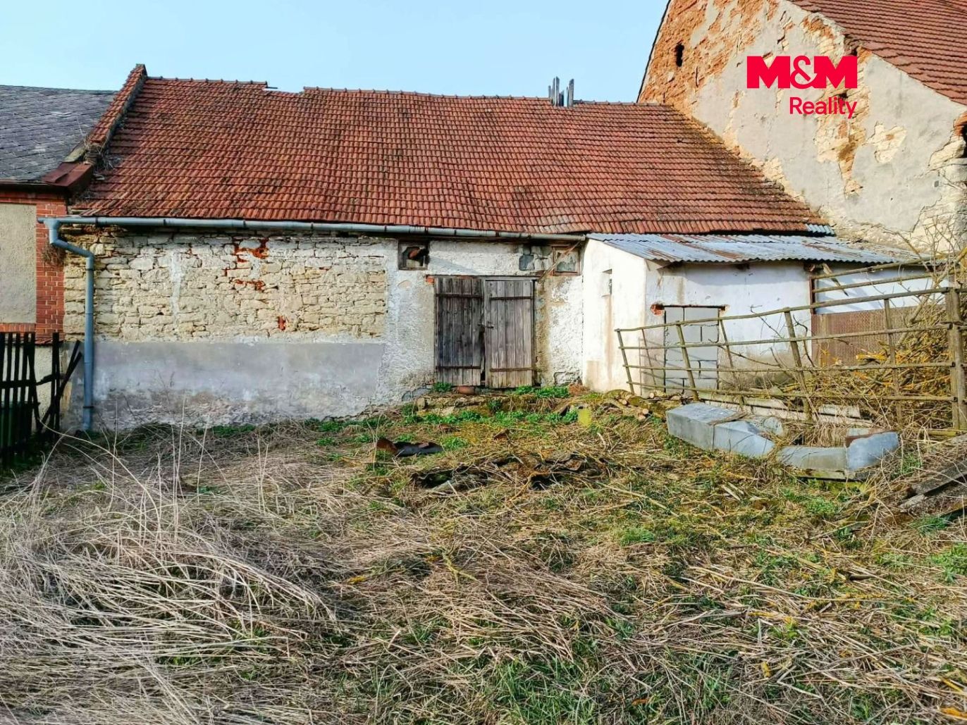 brezova01.jpg