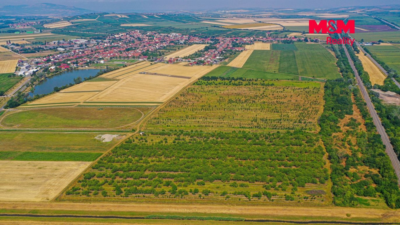 DJI_0922.jpg