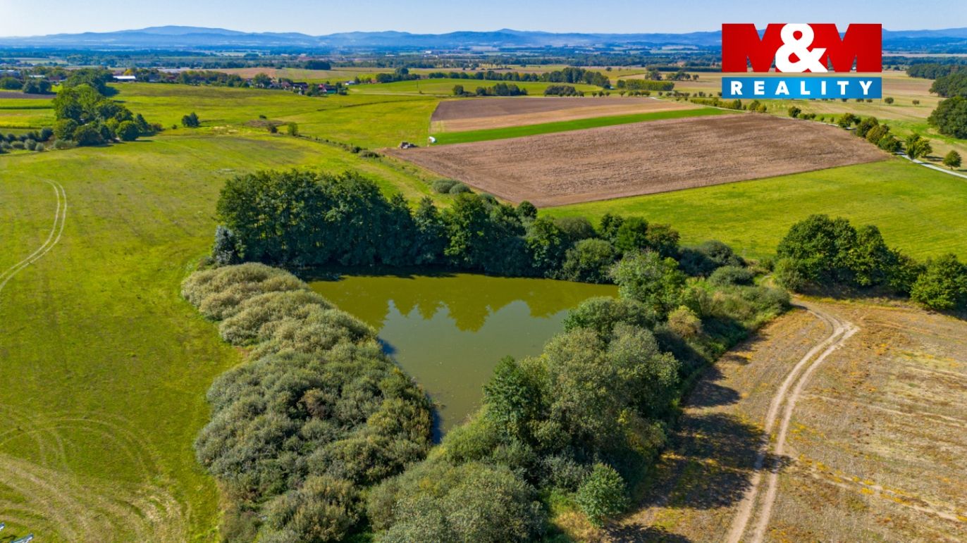 DJI_0856.jpg