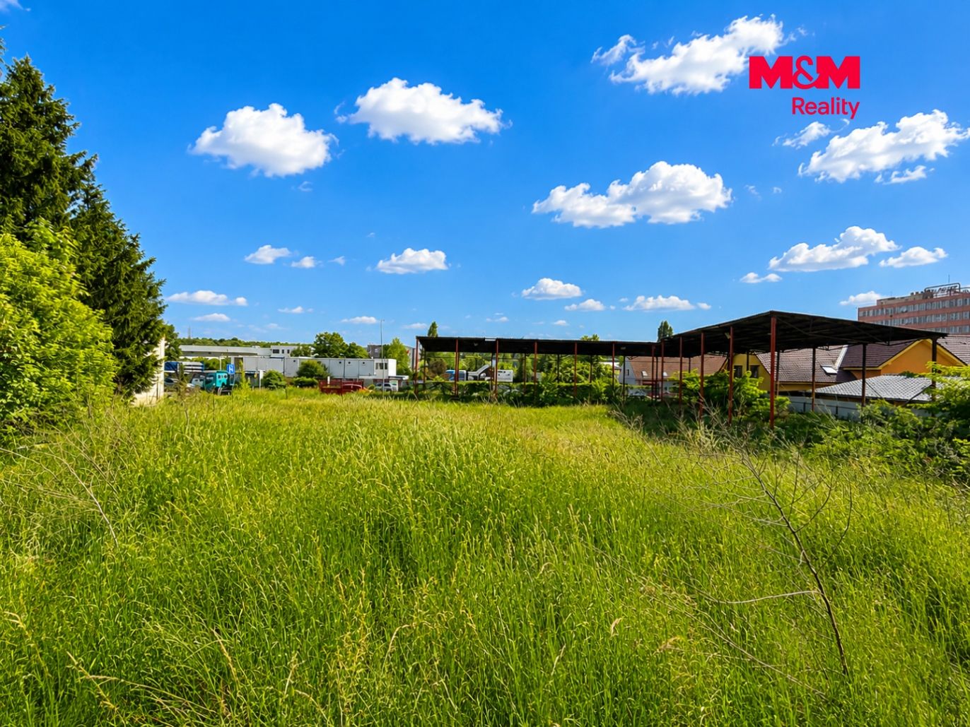 image_555F5C76-7666-496E-AF06-D26859C21535_1780866571.png