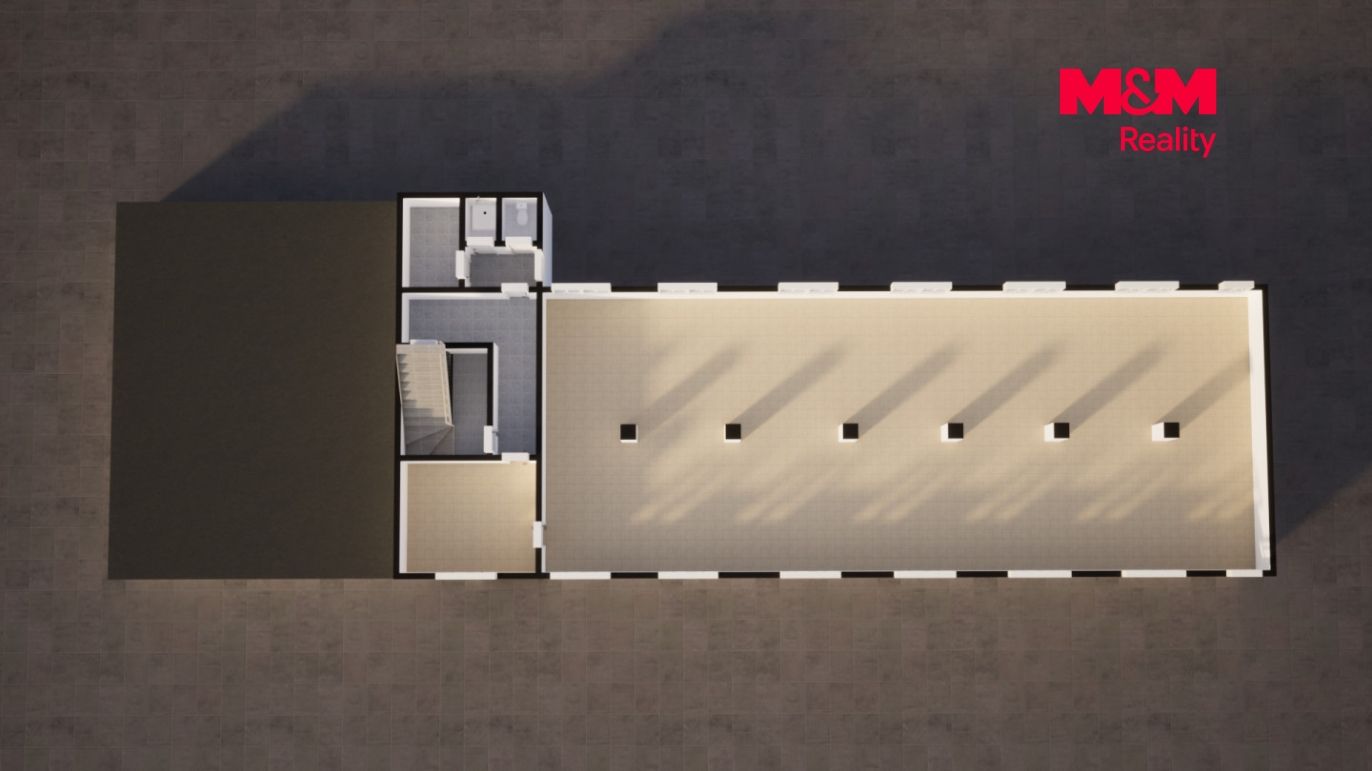 2NP