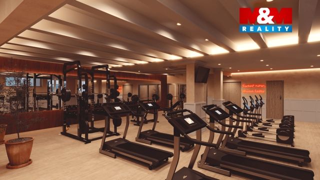 Mallorca - Cecilia-Gym-2-web (1).png