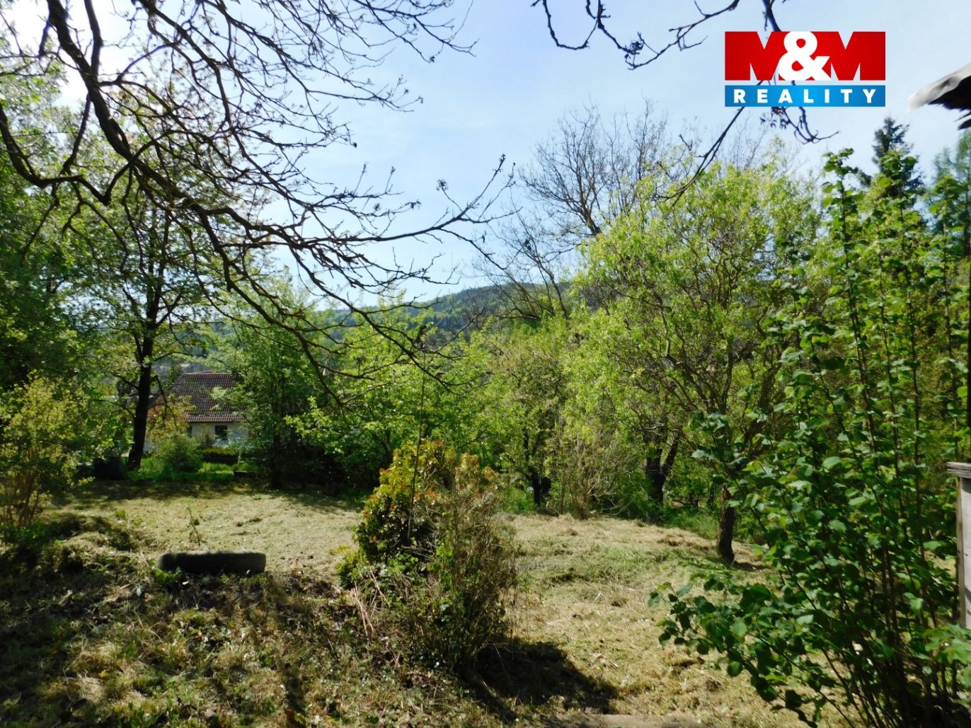 DSCN2692.jpg