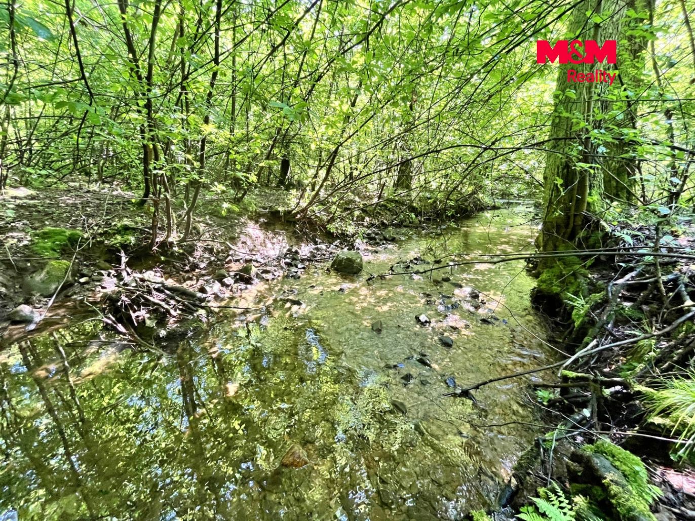 Skalický potok na hranici pozemku