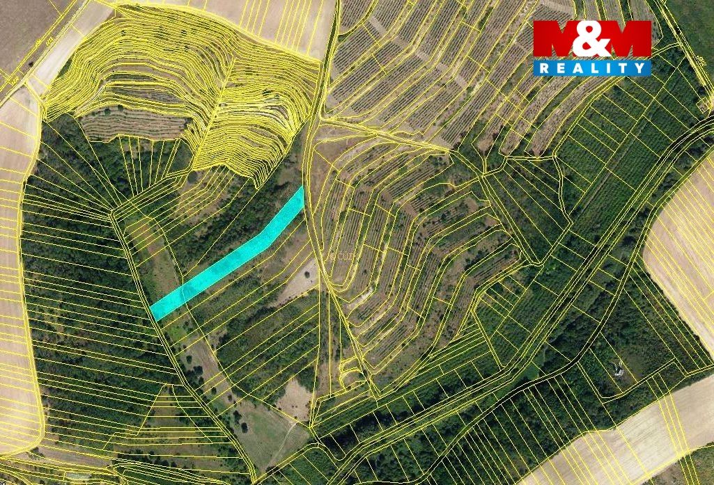 mapka