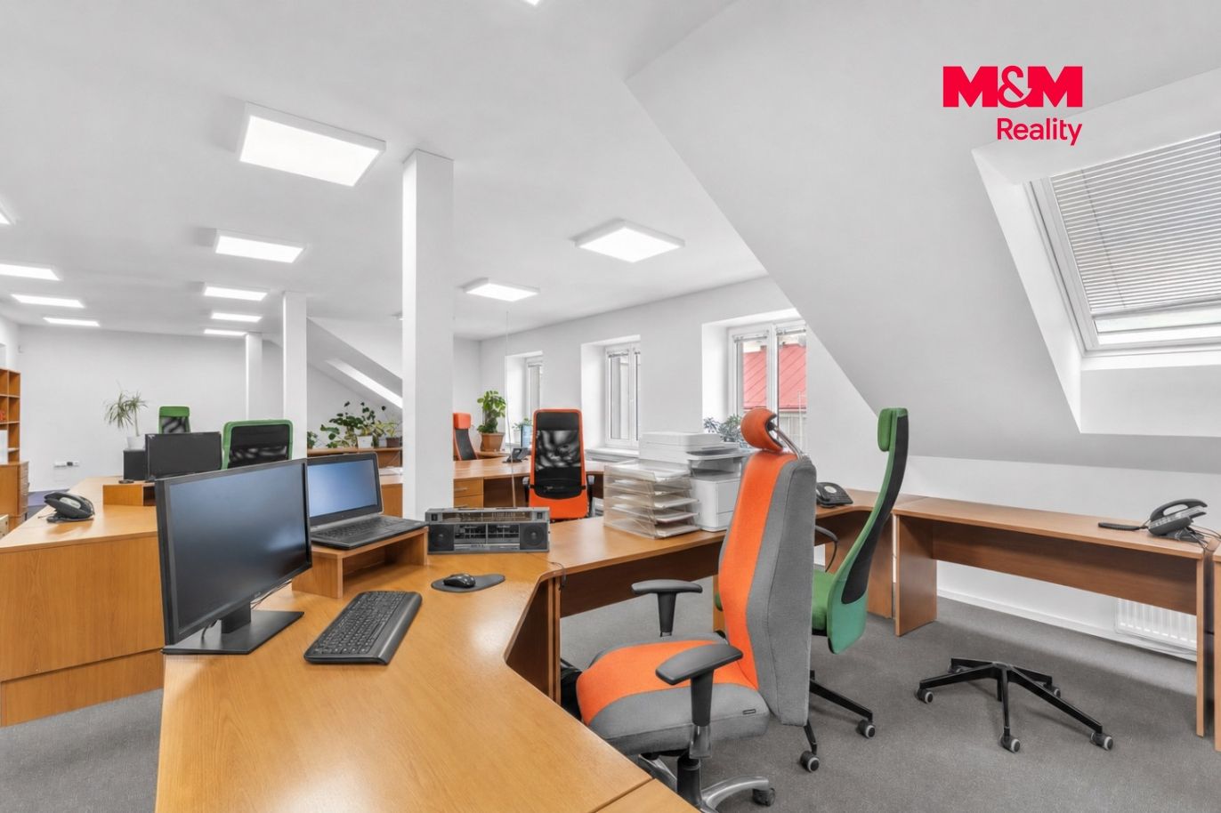 ji2.jpeg